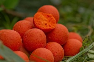 Starbaits Boilies Probiotic Peach Mango + N-Butyric 14mm 2,5kg