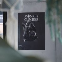 Plakát Opičí horolezec Kapr