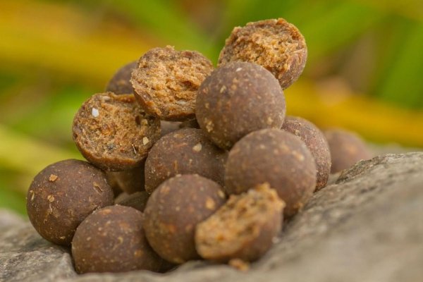 Starbaits Boilies Concept NFS 20mm 1kg